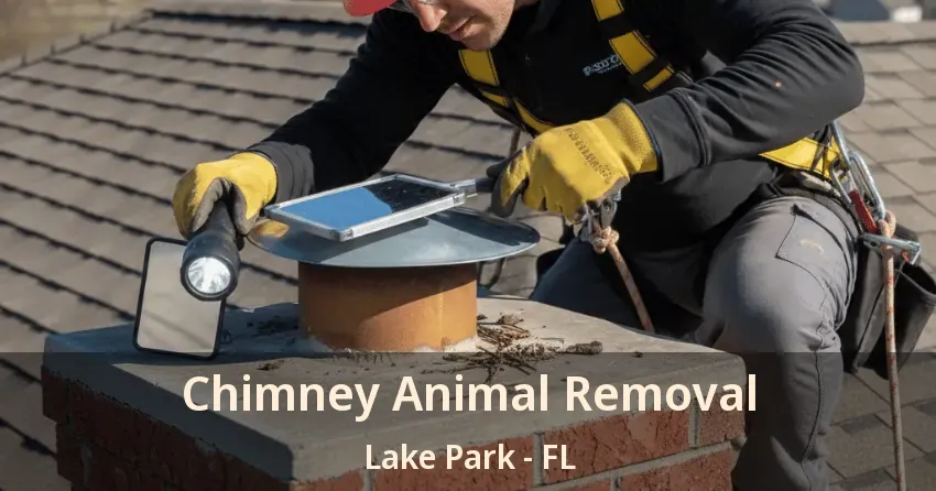 Chimney Animal Removal Lake Park - FL