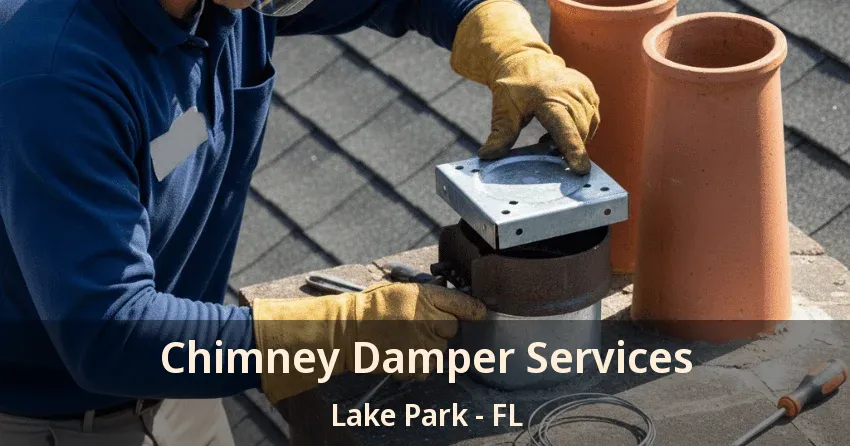 Chimney Damper Services Lake Park - FL