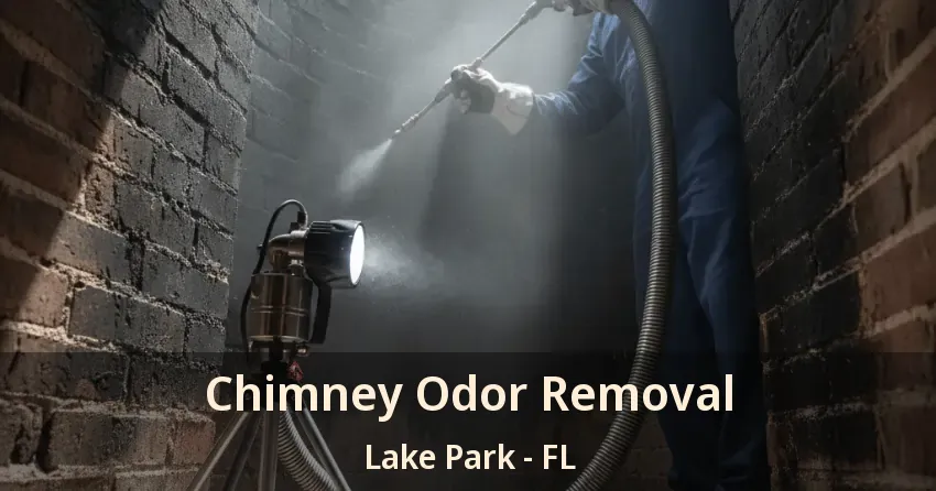 Chimney Odor Removal Lake Park - FL