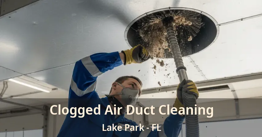 Clogged Air Duct Cleaning Lake Park - FL