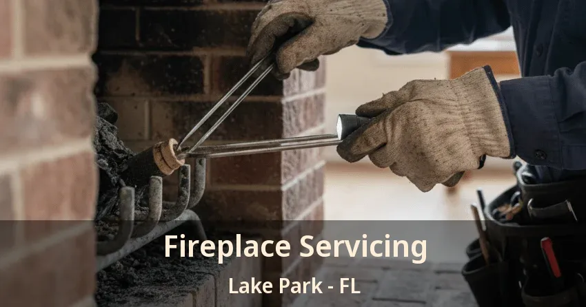 Fireplace Servicing Lake Park - FL