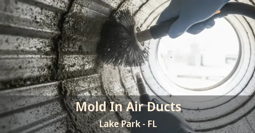 Mold In Air Ducts Lake Park - FL