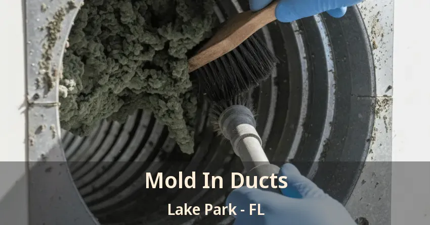 Mold In Ducts Lake Park - FL