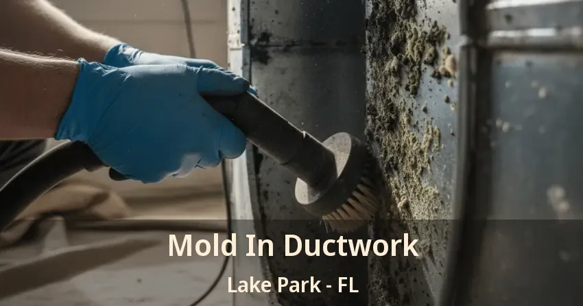 Mold In Ductwork Lake Park - FL