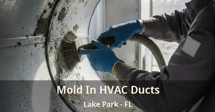 Mold In HVAC Ducts Lake Park - FL